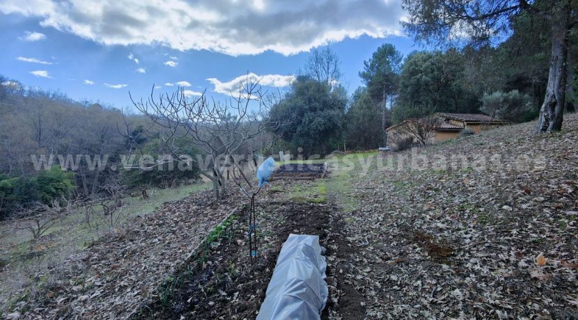 1e1e4335-fea2-4889-9234-0b34979ae2ca (1)_result