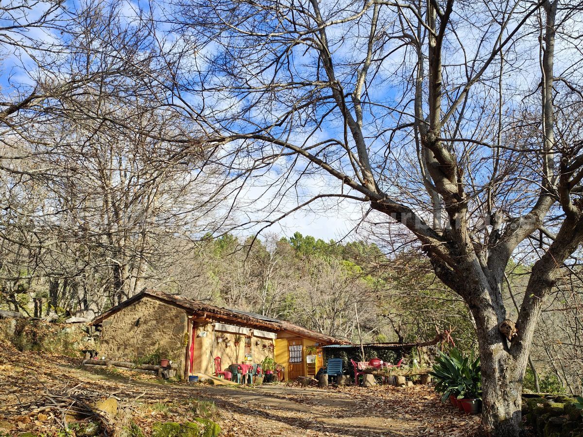 LA MAGIA DEL CASTAÑAR