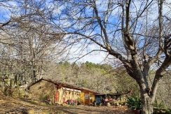 2fde8a30-00db-45be-a323-4c7dcc790456_result