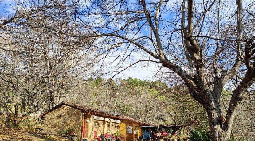 2fde8a30-00db-45be-a323-4c7dcc790456_result