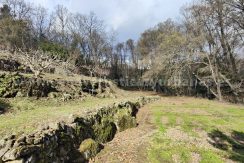 361732a4-693f-4b47-b9d1-a02140504570_result