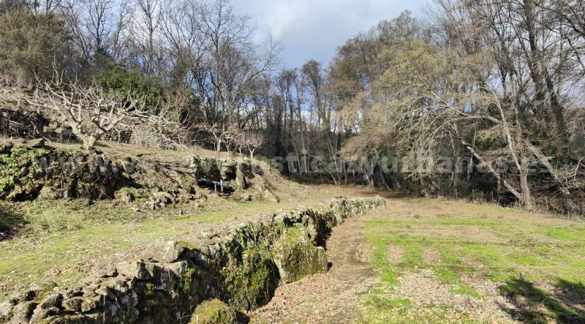 361732a4-693f-4b47-b9d1-a02140504570_result