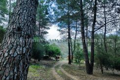 374b5913-e171-48cc-858c-708480e49a68_result