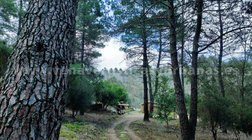 374b5913-e171-48cc-858c-708480e49a68_result