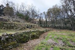 3df000d8-0e48-408b-b2d6-2d45b308eb04_result