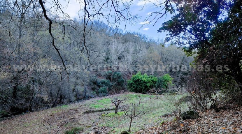 4b330965-00eb-4683-89c0-414d1fadbce5_result