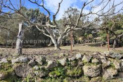 4f61416f-06fc-4594-8fec-fd1440ea040f_result