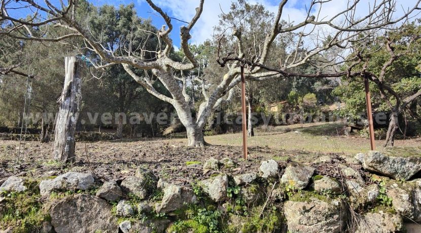 4f61416f-06fc-4594-8fec-fd1440ea040f_result