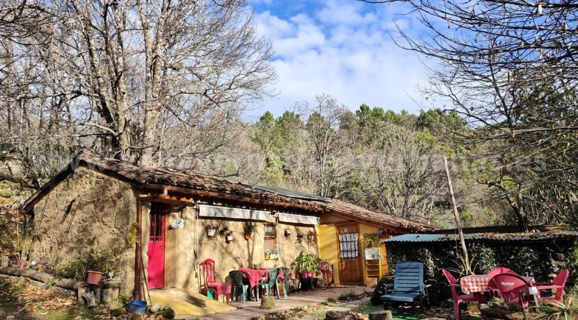 53a0f7c5-ef0b-413d-b612-11f419904a17_result