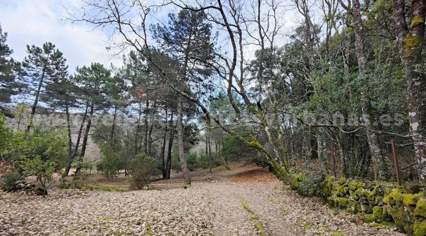 5abda89e-c82d-470a-a6e7-63c89d414ddc_result