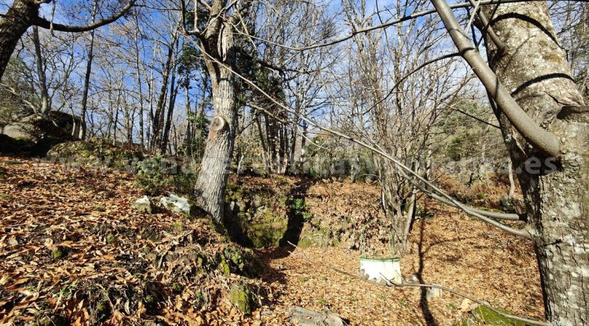 5cf289ca-b429-4fca-a451-e6b719e21ed4_result