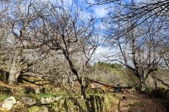 62b8df32-f478-49ed-971c-0046353b2c38_result