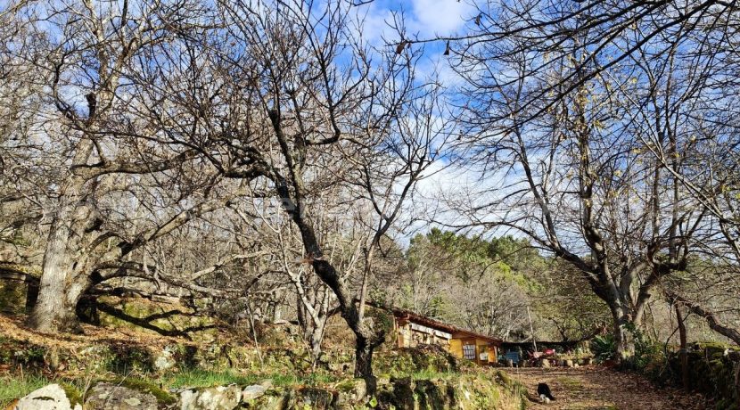 62b8df32-f478-49ed-971c-0046353b2c38_result