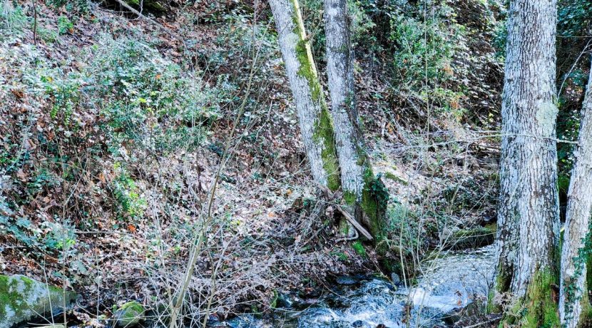 62f63d97-b303-49d5-8efe-b1e2ba3bf7be_result