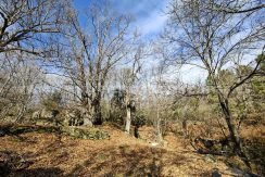 6506e76c-0920-4ff1-96a3-5dcd73d0df59_result