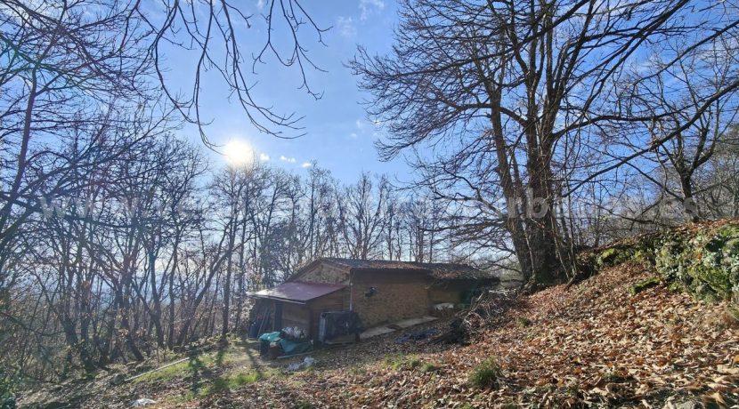 672c11bf-1fa8-4823-95a6-b075c769cfb9_result