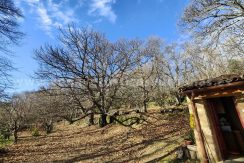 7cd81721-dc64-4ba4-8103-2140b89a2542_result