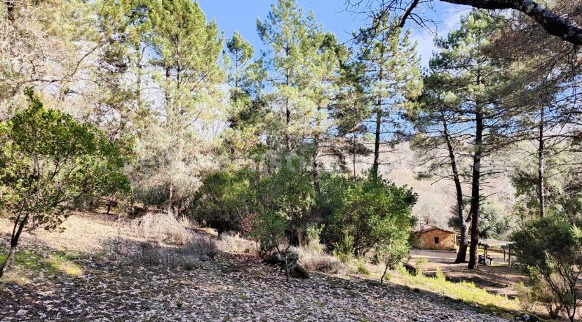 84836dc6-3402-4615-aa04-387facec55bf_result