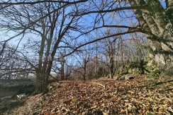 8bd709df-ae8d-4d5b-a452-7832ad4c3af9_result