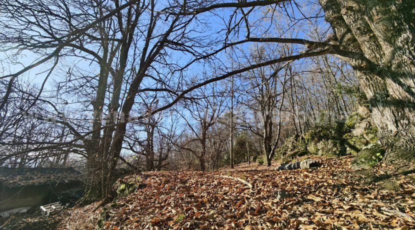 8bd709df-ae8d-4d5b-a452-7832ad4c3af9_result