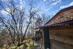 8f2b3299-07a7-4126-b130-7e1180a7744b_result (1)