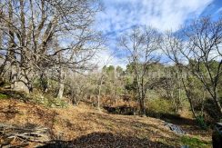 980eecb1-f916-4b09-b542-bbdb8ca5b411_result