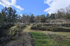 98e7d7ba-0aee-4888-a774-2757c753e430_result