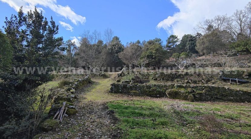 98e7d7ba-0aee-4888-a774-2757c753e430_result