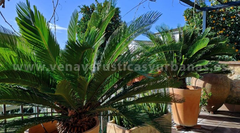 9a8e442b-7911-429f-8e16-b3d7052096f2_result