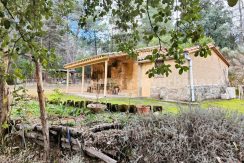 9cd0cb05-2157-448c-9776-9daf8a685ad2_result