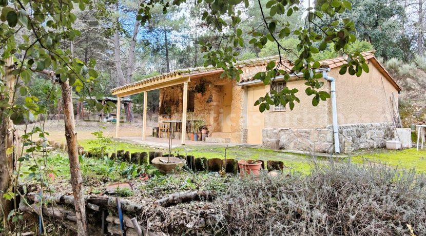 9cd0cb05-2157-448c-9776-9daf8a685ad2_result