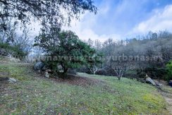 9e583326-2057-4aa4-8678-e55239c69488_result