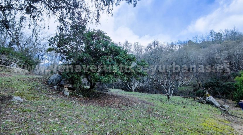 9e583326-2057-4aa4-8678-e55239c69488_result