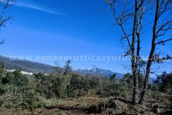 IMG20240108121410_result