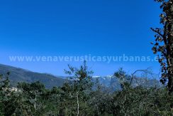 IMG20240108121602_result