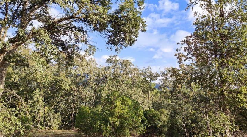 IMG20241024102239_result