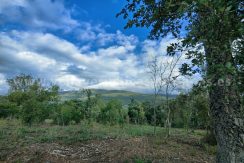 IMG20241024103144_result