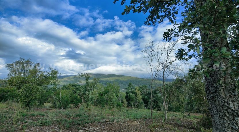 IMG20241024103144_result