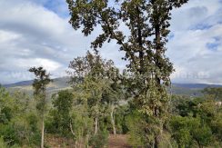 IMG20241024103327_result