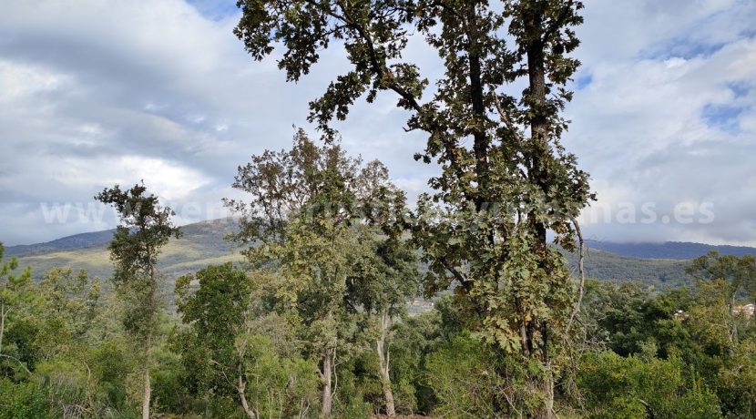 IMG20241024103327_result