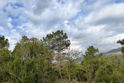 IMG20241024103329_result