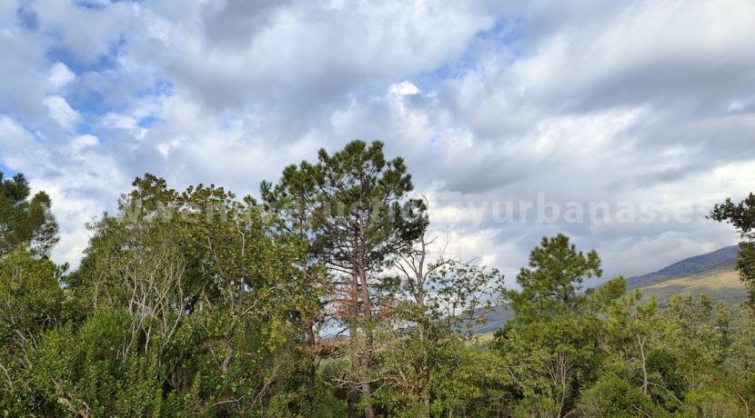 IMG20241024103329_result