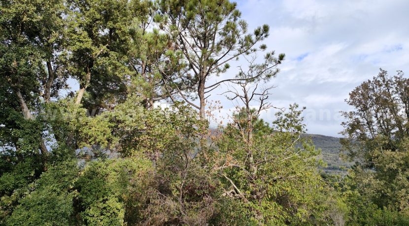 IMG20241024103437_result