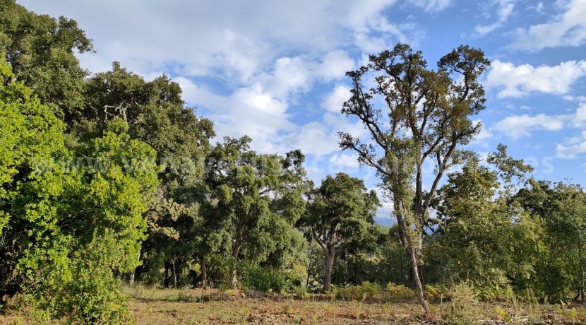 IMG20241024103614_result