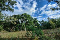 IMG20241024103720_result