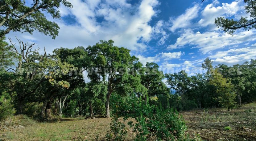 IMG20241024103720_result