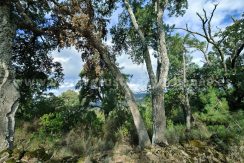 IMG20241024103743_result