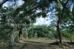 IMG20241024103839_result