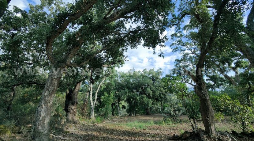 IMG20241024103839_result