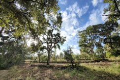 IMG20241024104010_result